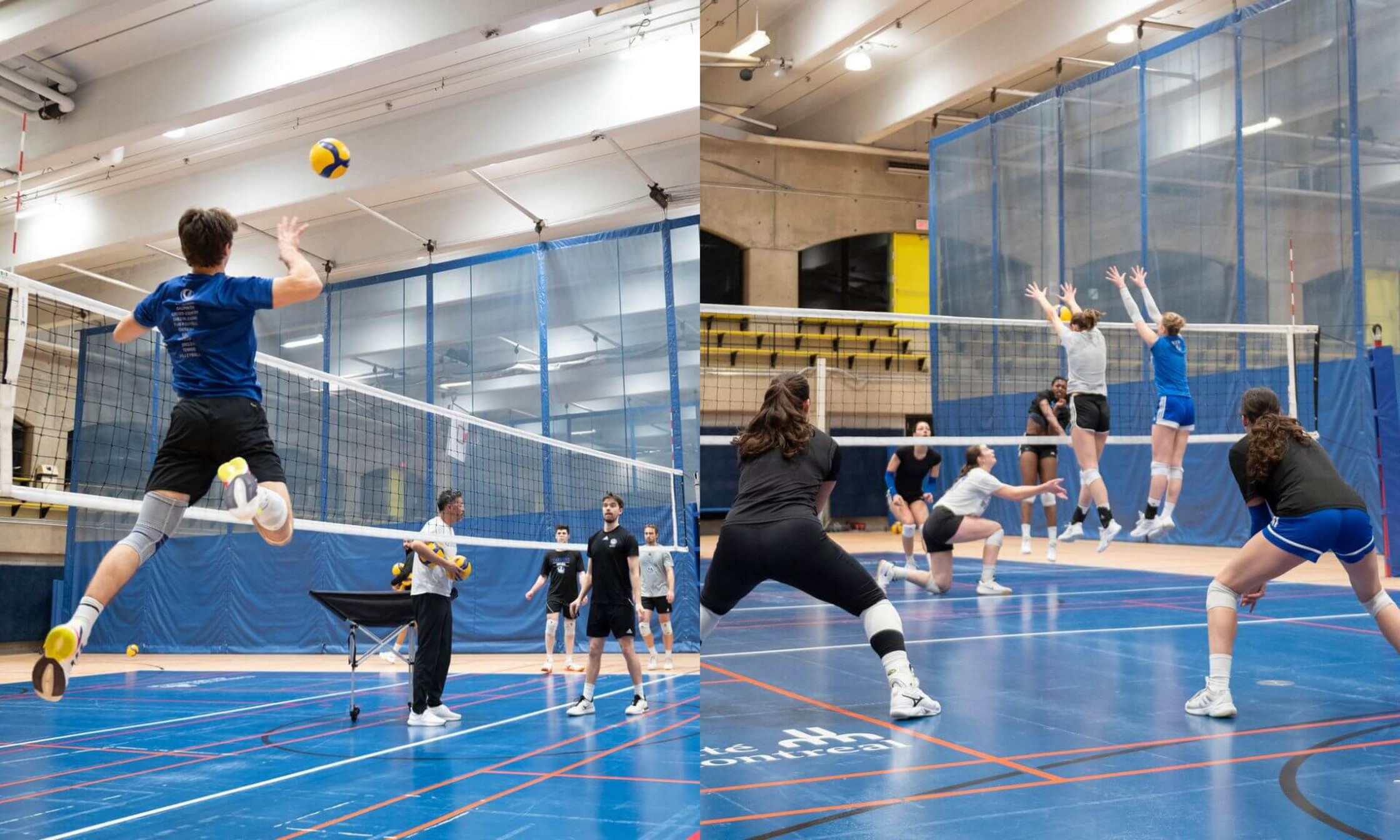 Les équipes féminine et masculine de volleyball des Carabins à l'entraînement, en vue des séries éliminatoires qui débutent le 20 février.
