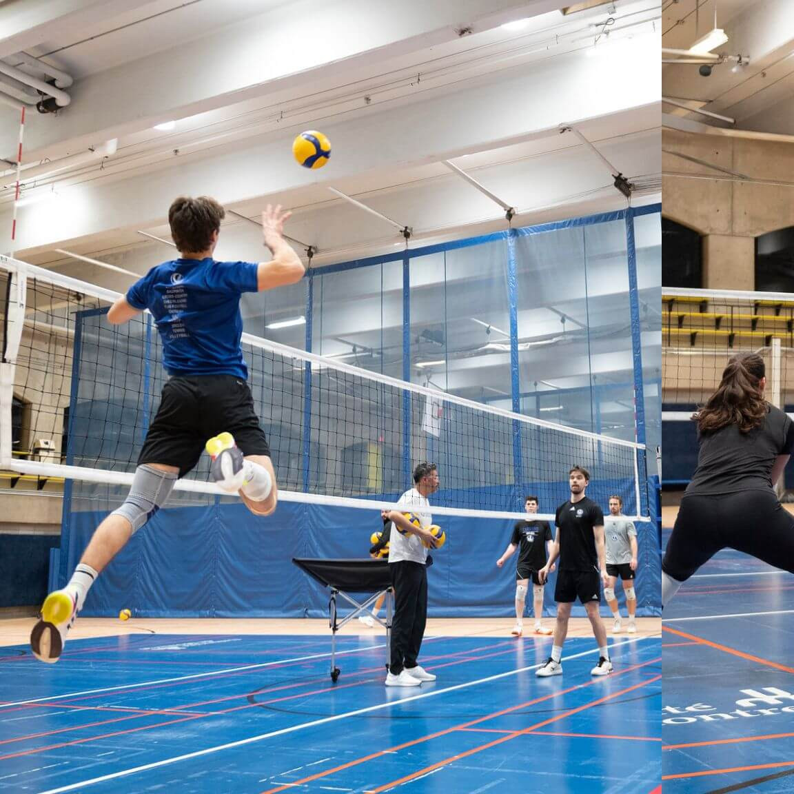 Les équipes féminine et masculine de volleyball des Carabins à l'entraînement, en vue des séries éliminatoires qui débutent le 20 février.