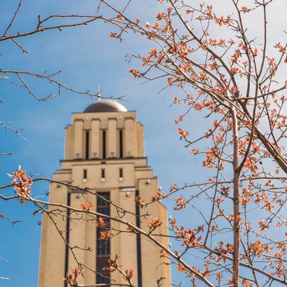 La tour du pavillon Roger-Gaudry
