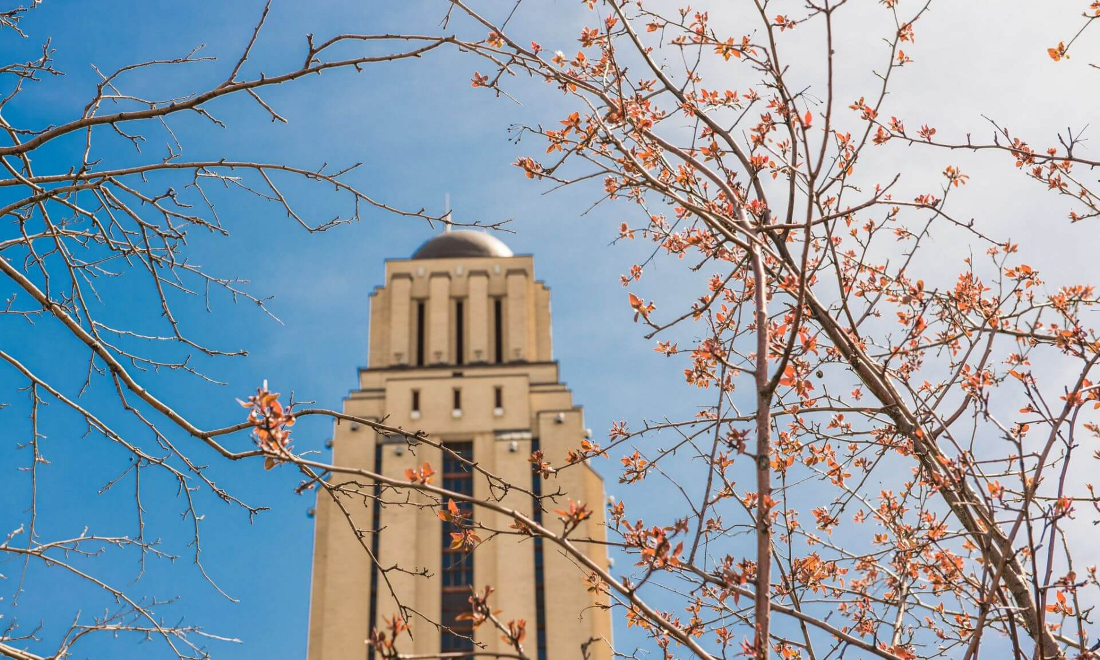 La tour du pavillon Roger-Gaudry