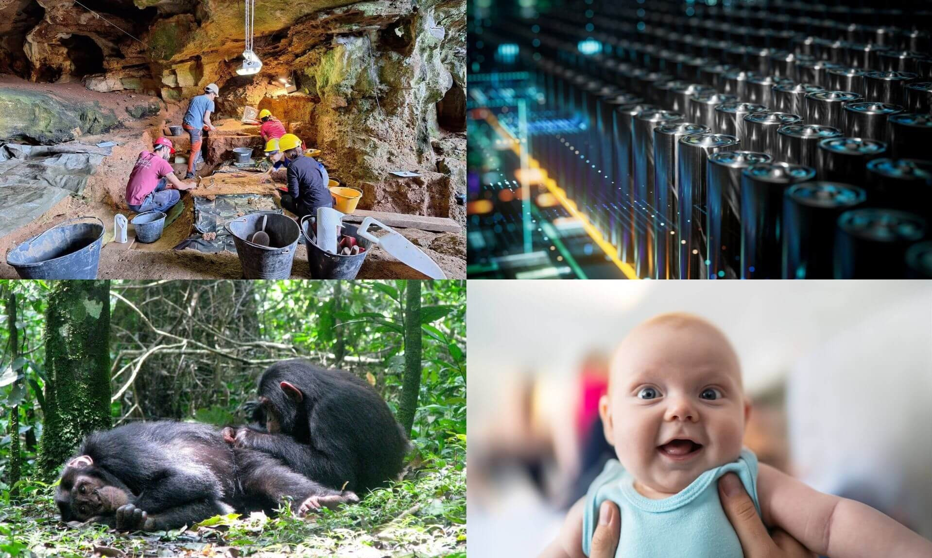 En 2025, ces recherches à l'UdeM ont proposé des solutions concrètes.