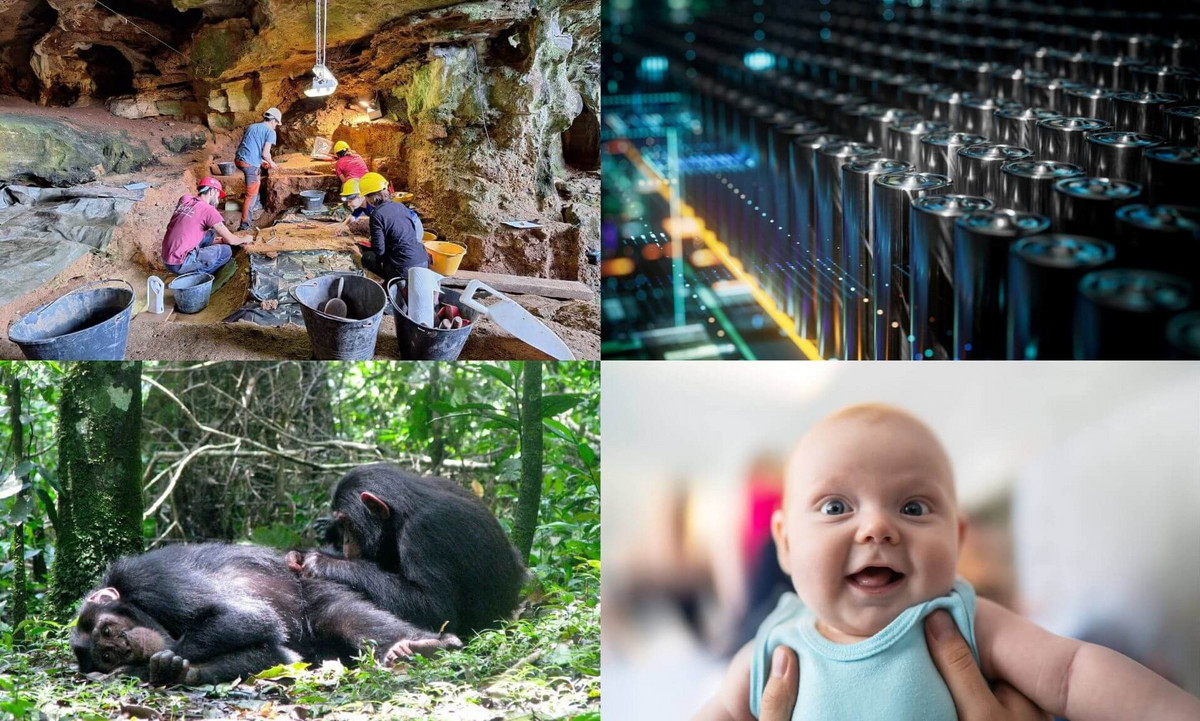 UdeM Discoveries 2025: 15 Key Innovations - News Directory 3