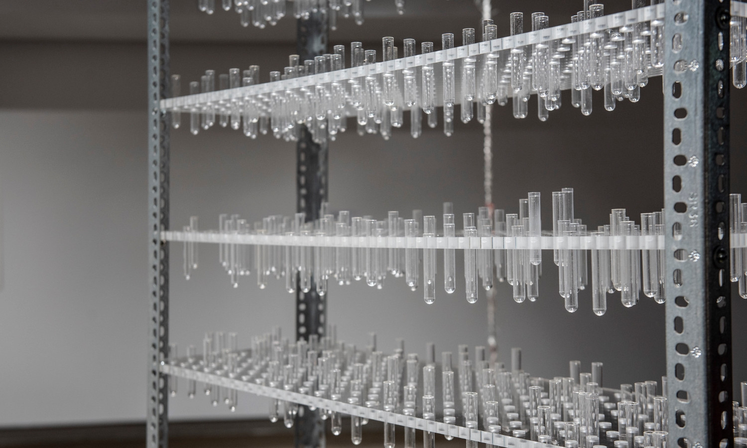 L'installation "12 millions" réalisée à partir de centaines d’éprouvettes des laboratoires de biologie de l’Université de Montréal.