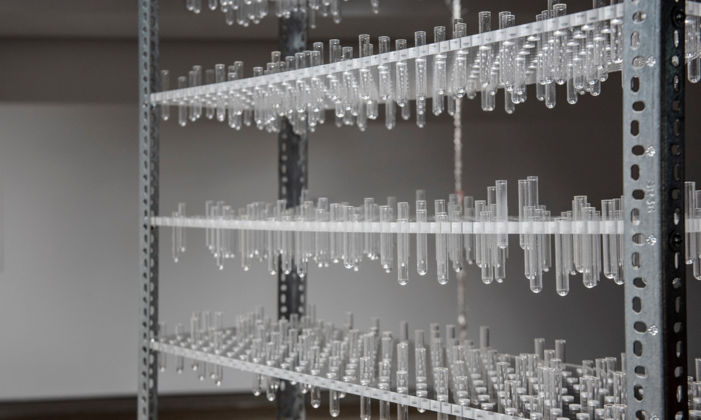 L'installation "12 millions" réalisée à partir de centaines d’éprouvettes des laboratoires de biologie de l’Université de Montréal.