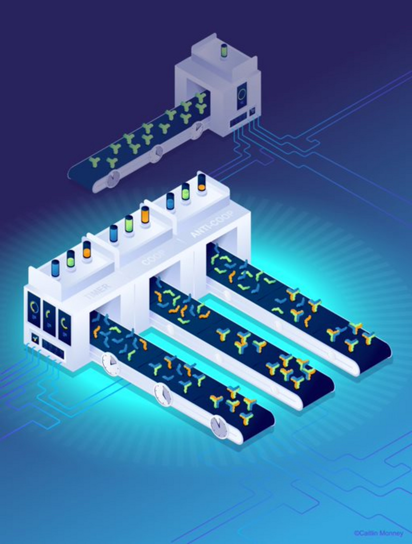 Dominic Lauzon and Alexis Vallée-Bélisle have discovered that the function of molecular nanomachines can evolve efficiently if broken into multiple components. The image illustrates how making nanomachines using a single green component (top) leads to a single-function structure. In contrast, fabricating similar nanomachines using three components (blue, orange, and green) creates functional structures with new properties, such as greater or lesser sensitivity - i.e., cooperative or anticooperative - and molecular clock function.