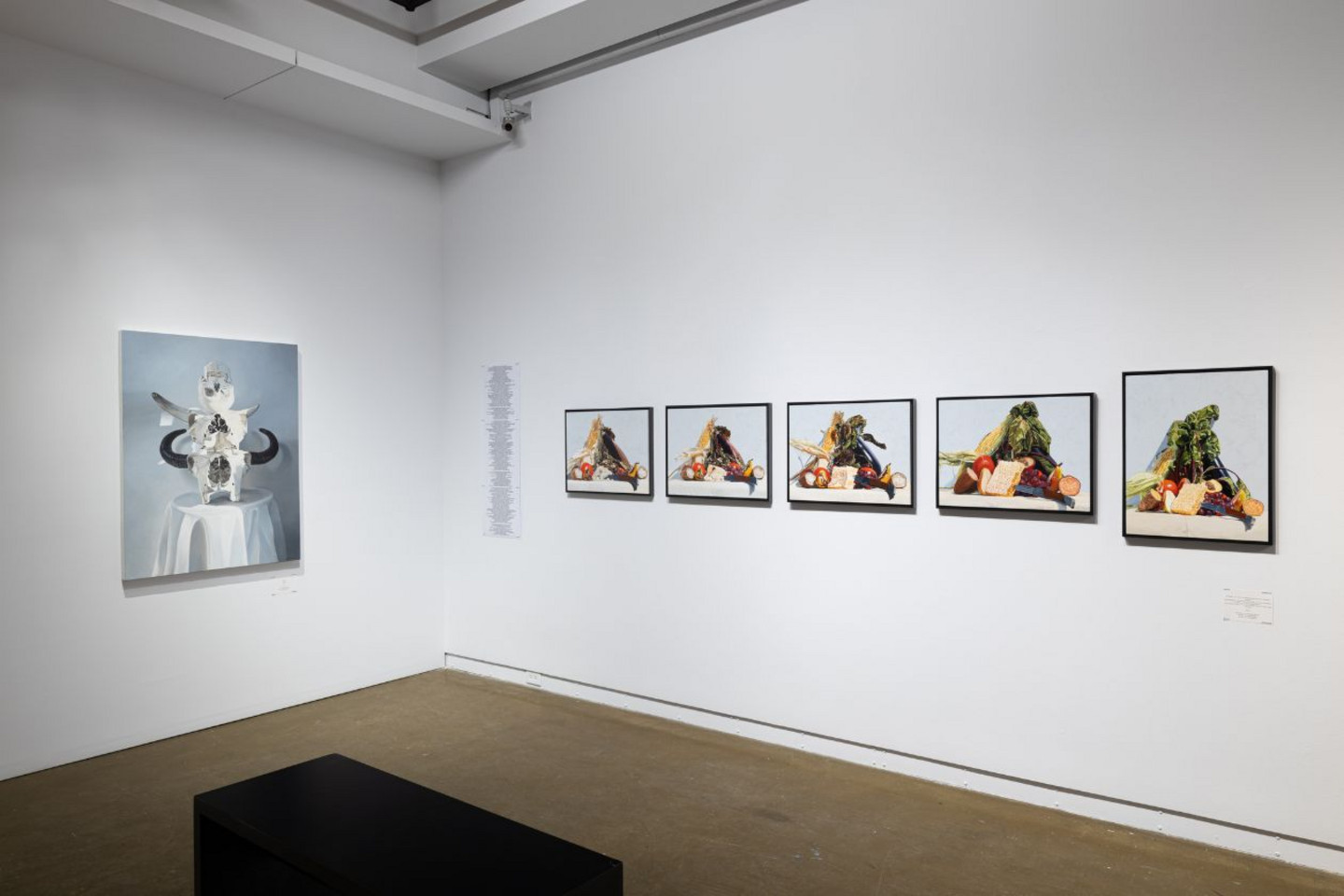 «Raw Harvest», de David Garneau