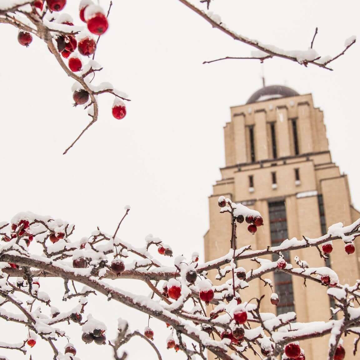 La tour du pavillon Roger-Gaudry