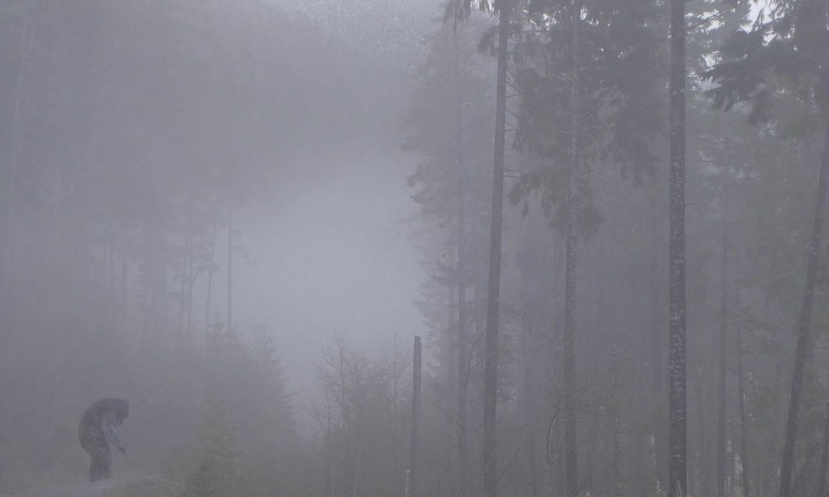 Une composition d'images associant une forêt brumeuse et une photo d'un singe des neiges du Japon, réalisée de manière à donner l'impression qu'un Bigfoot se promène dans la forêt.