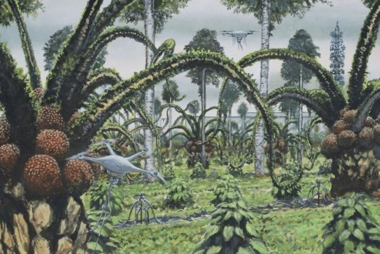 3/3 L'image montre l’adaptation de l’agriculture à un climat subtropical, soit chaud et humide: une agroforesterie à base de palmiers à huile et de plantes grasses des zones arides. Les cultures sont entretenues par des drones à l'aide de l'intelligence artificielle et la présence humaine est réduite. 