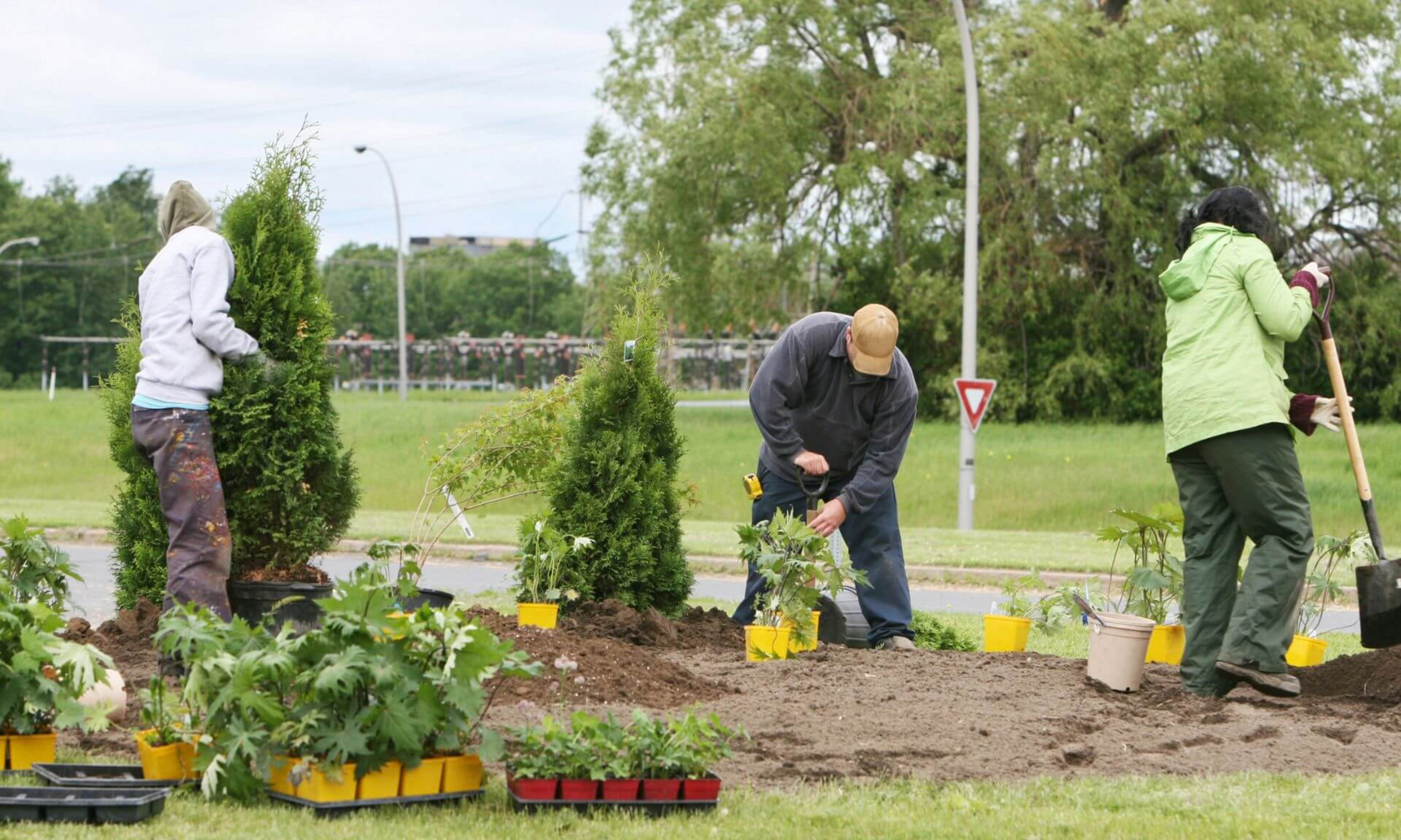 Bien que les arrondissements tiennent compte de plusieurs facteurs techniques pour planter des arbres, ils omettent leur potentiel, notamment en matière de gestion des eaux pluviales et de prévention des inondations.