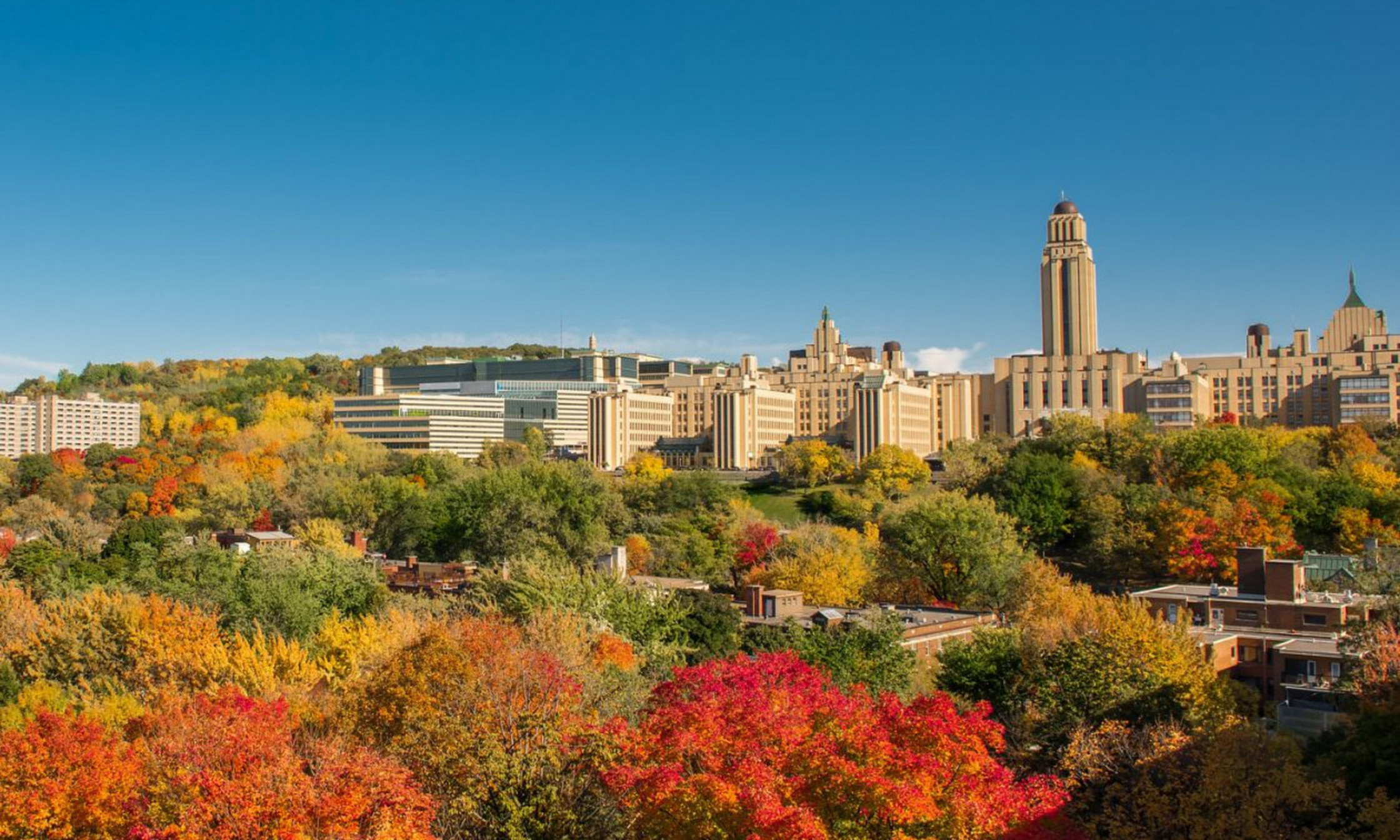 La tour du pavillon Roger-Gaudry La tour du pavillon Roger-Gaudry