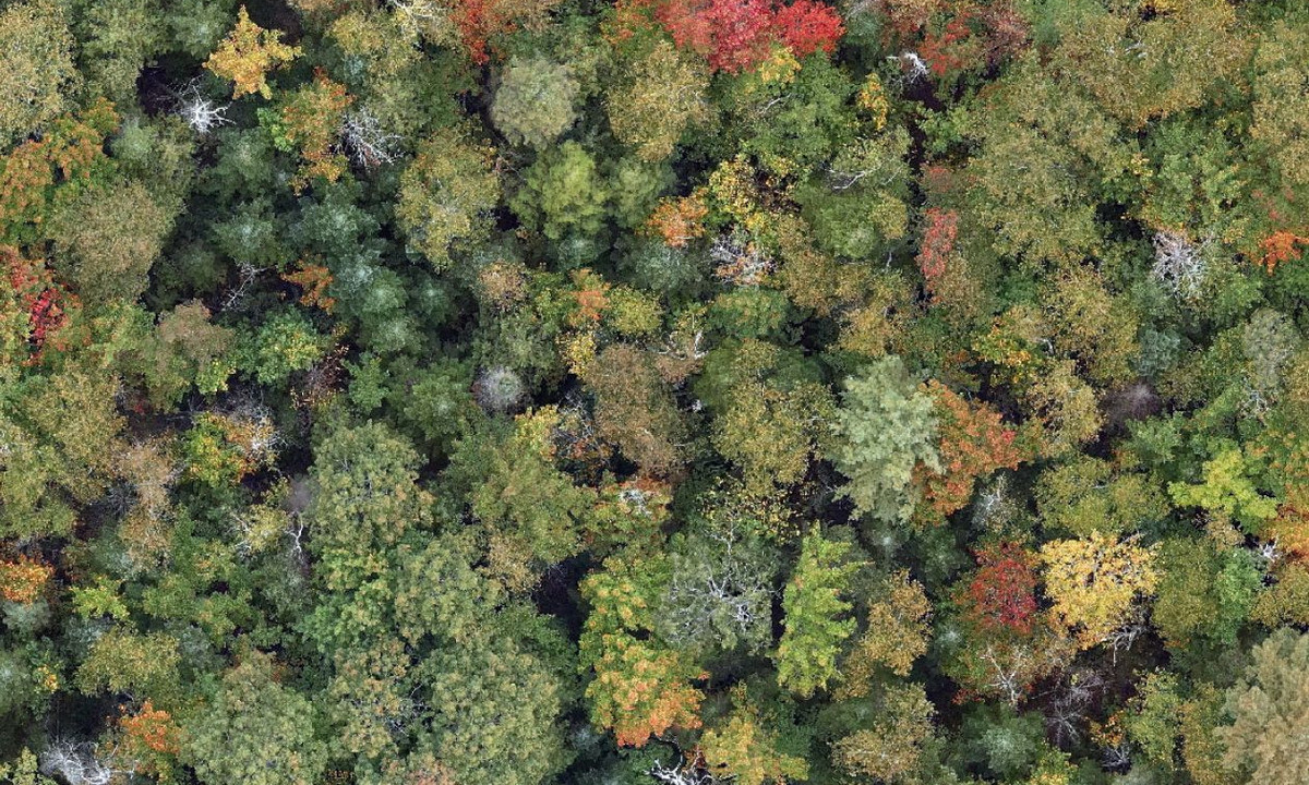  la Station de biologie des Laurentides