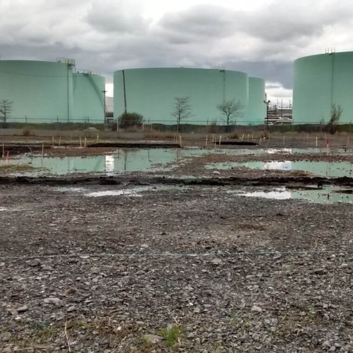 À l’est de Montréal, dans la zone industrielle, autrefois dominaient le béton, les sols compactés et l’héritage lourd de l’industrie pétrolières.