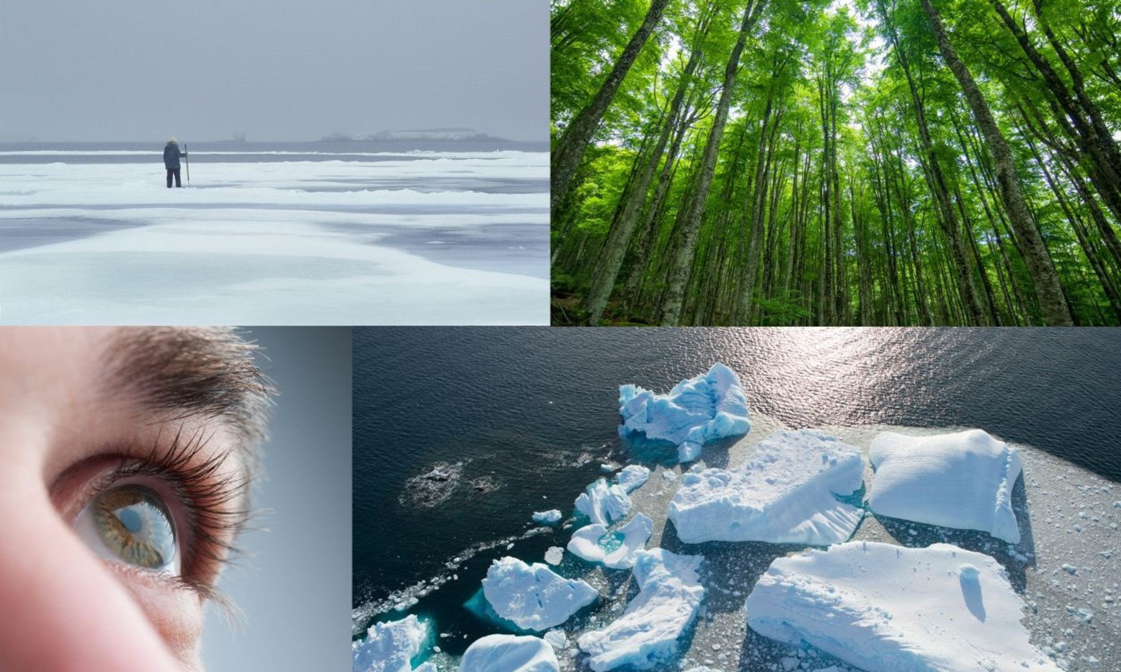 Les chansons et le documentaire créés dans le cadre du projet «Réchauffement climatique: l’art inuit au service de la transmission des savoirs» seront présentés devant public le 19 juin au Musée McCord Stewart.