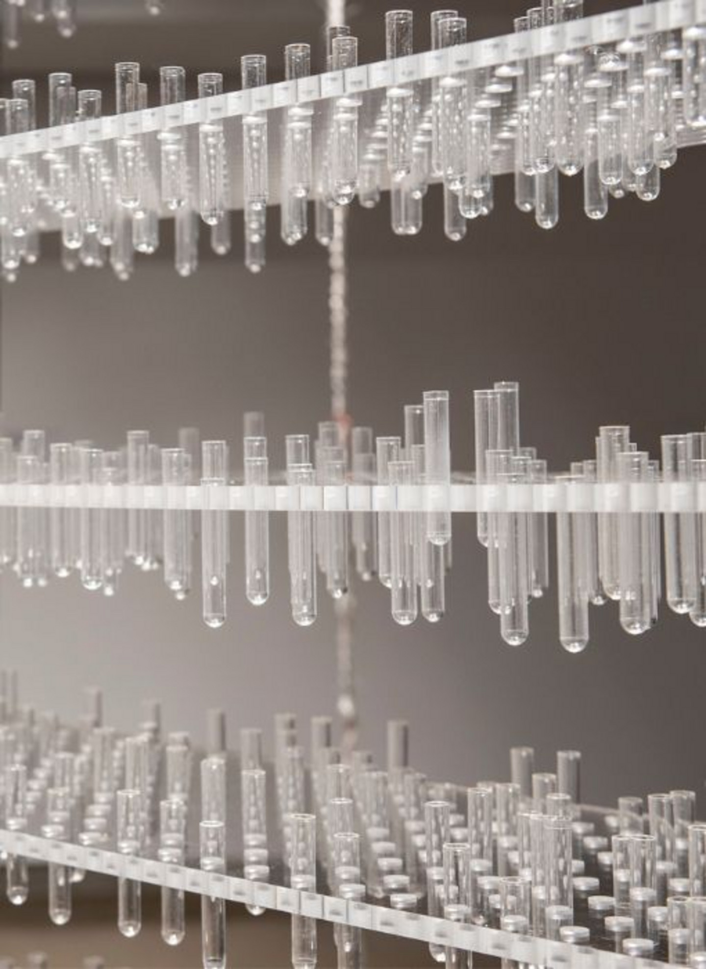 "12 millions" d'Heidi Barkun