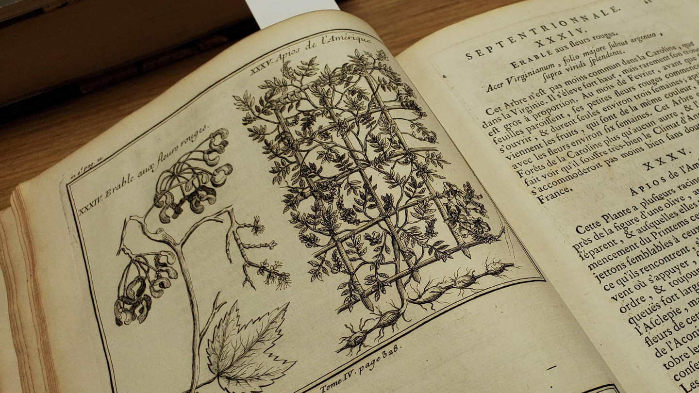 Histoire et description générale de la Nouvelle France: avec le Journal historique d'un voyage fait par ordre du Roi dans l'Amérique septentrionnale, 1744.