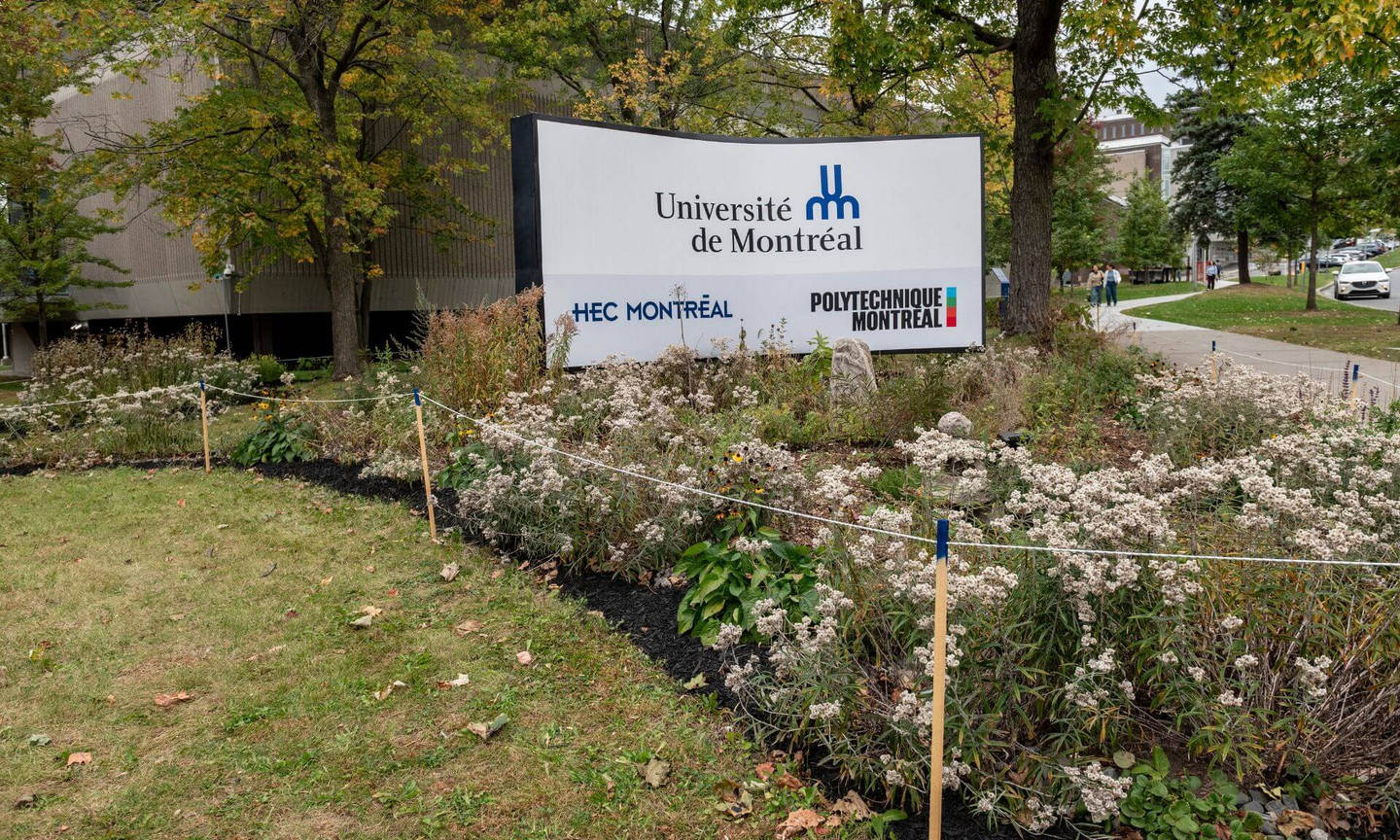 Revalorisation du jardin consacré aux femmes autochtones, situé à l’intersection de l’avenue Decelles et du chemin Queen-Mary