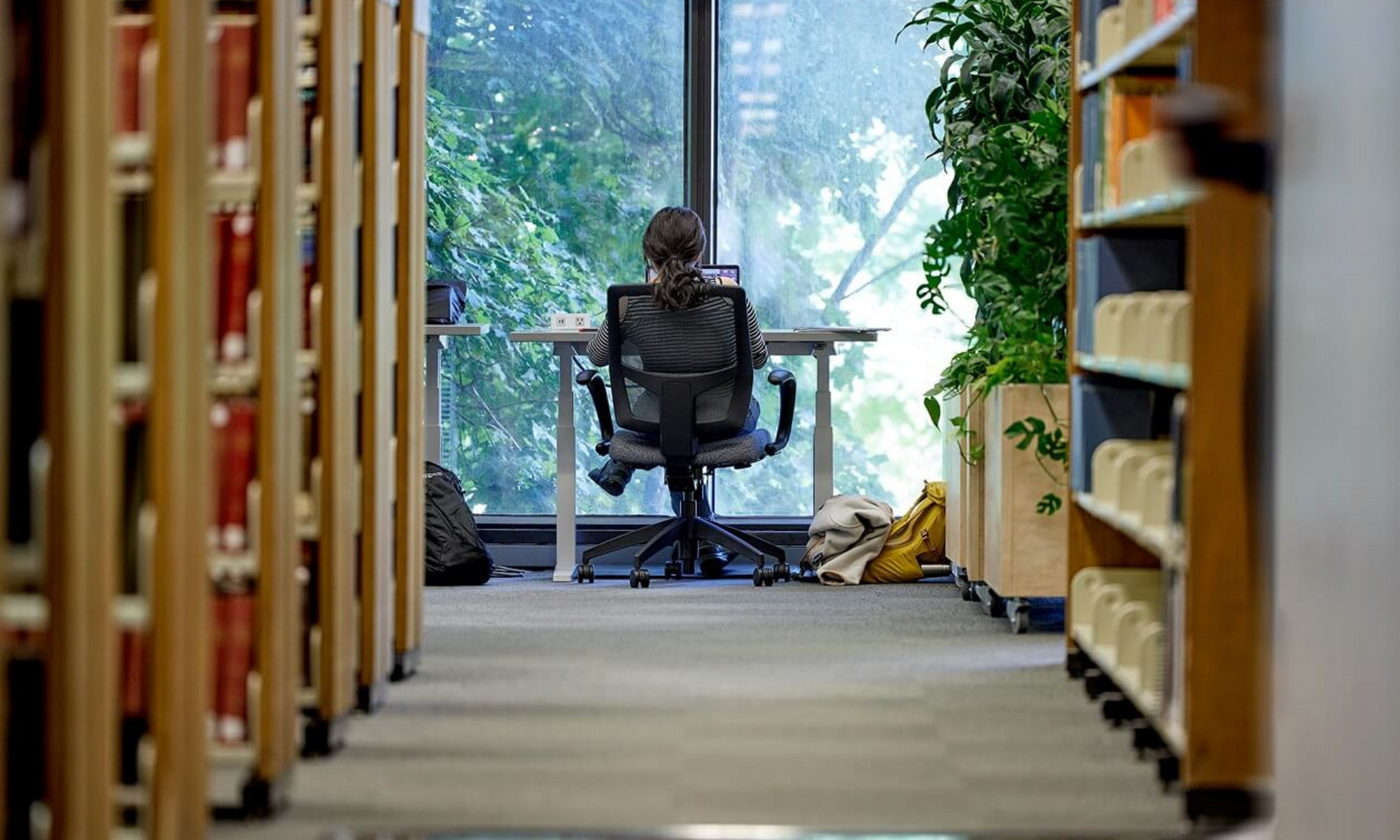 Bibliothèque de droit de l’Université de Montréal Bibliothèque de droit de l’Université de Montréal