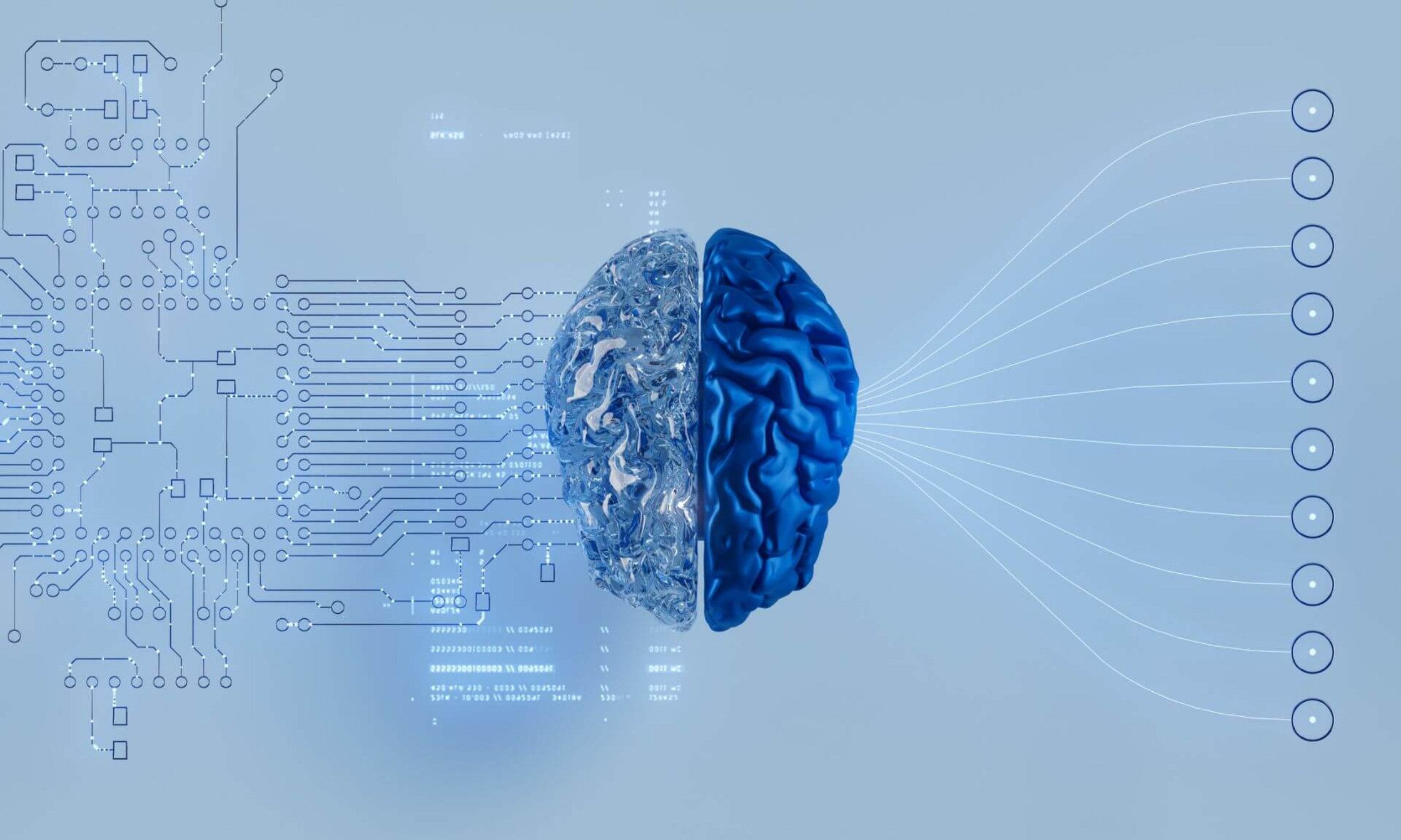Que peut nous apprendre la biologie sur la conscience artificielle?