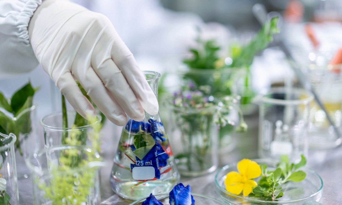 La découverte des chercheurs rappelle l’importance d’examiner la composition réelle des produits naturels utilisés en recherche biomédicale.