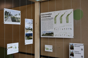 Entre transition et temporalité 