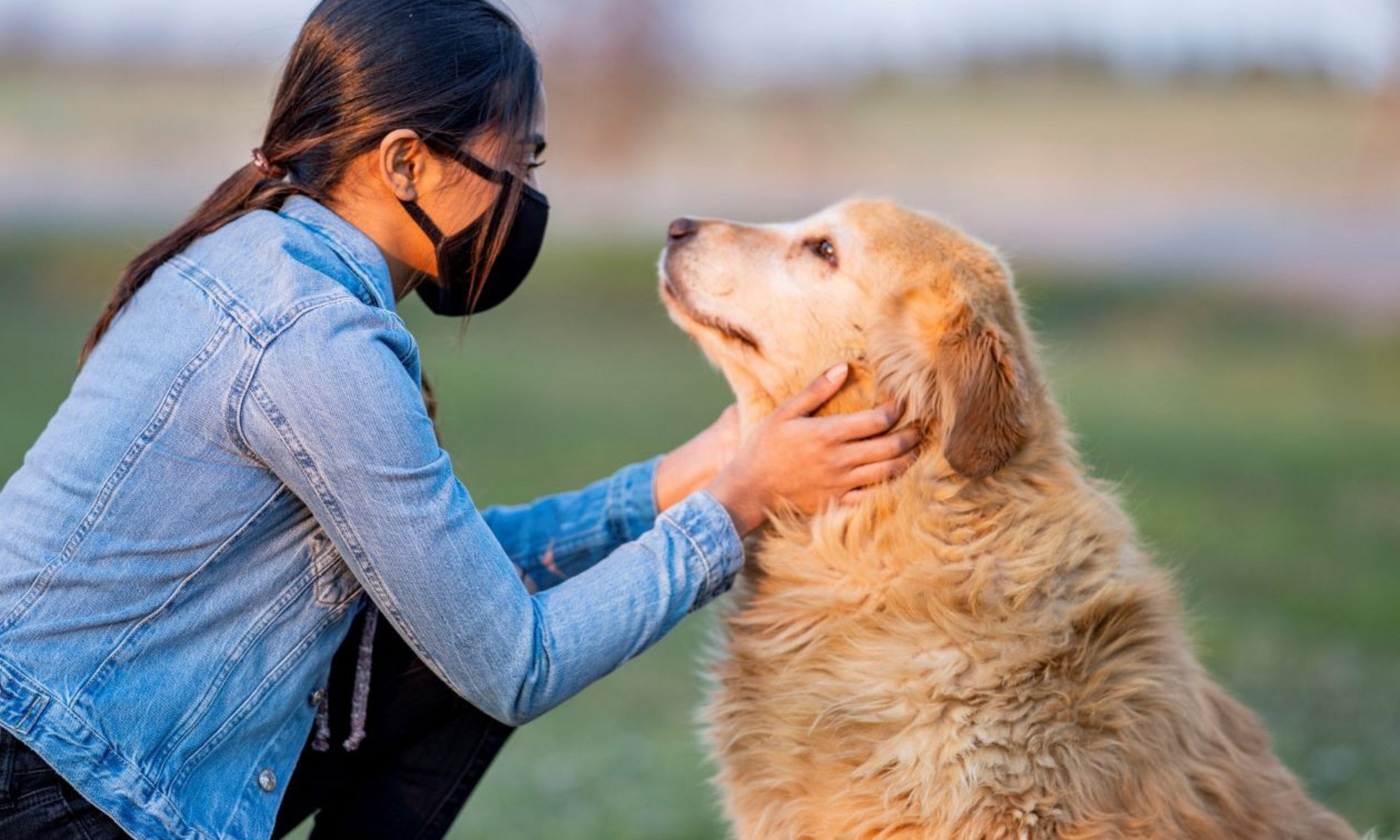 L’équipe de la Dre Cécile Aenishaenslin réalise une étude exploratoire sur la transmission humains-chats, qui a mis en évidence le premier cas de chat déclaré positif au Québec. À l’Université de Guelph, en Ontario, une recherche similaire inclut les chiens.