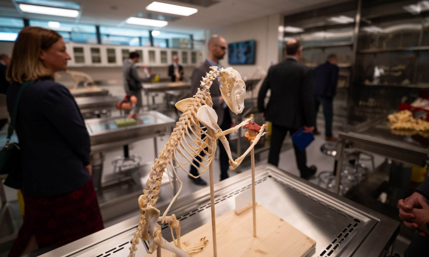 Le pavillon comprend notamment des salles de classe, un centre de simulation et de réalité virtuelle vétérinaire, une salle de chirurgie, une salle de radiologie, des laboratoires, une animalerie et des bureaux.