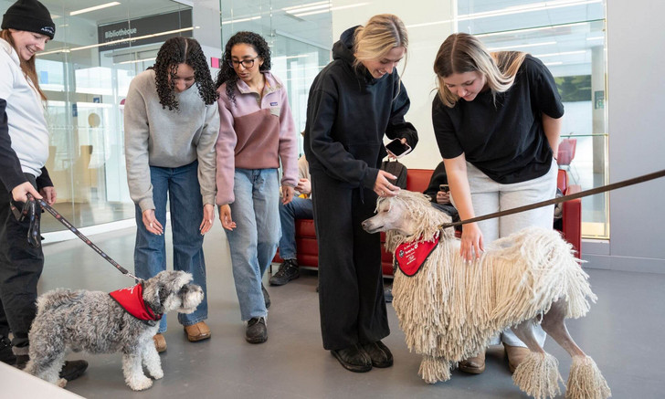 During Fest'hiver, the UdeM community enjoyed a zoo animation session.