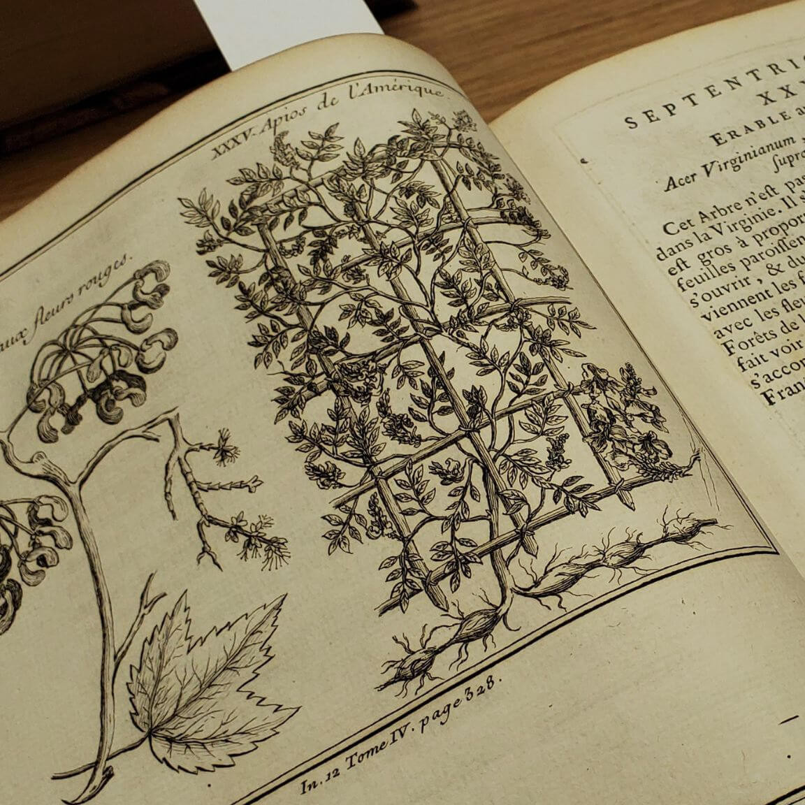 Histoire et description générale de la Nouvelle France: avec le Journal historique d'un voyage fait par ordre du Roi dans l'Amérique septentrionnale, 1744.