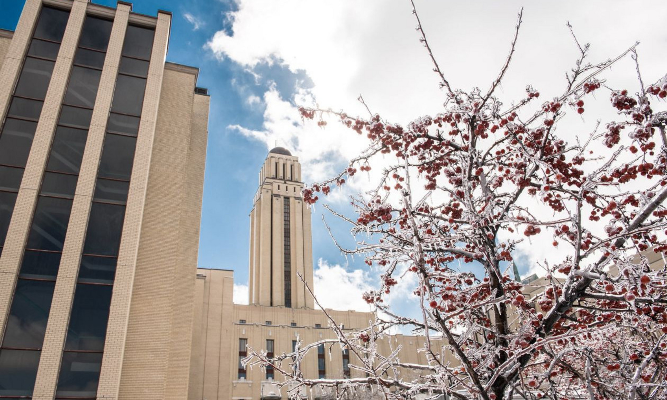 Le pavillon Roger-Gaudry