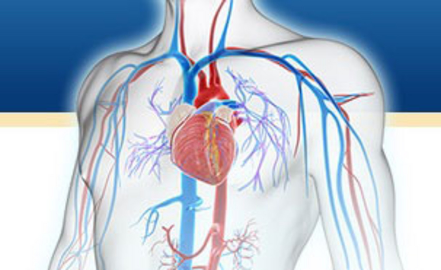 Application Aorta, Institut de Cardiologie de Montréal affilié à l'UdeM.