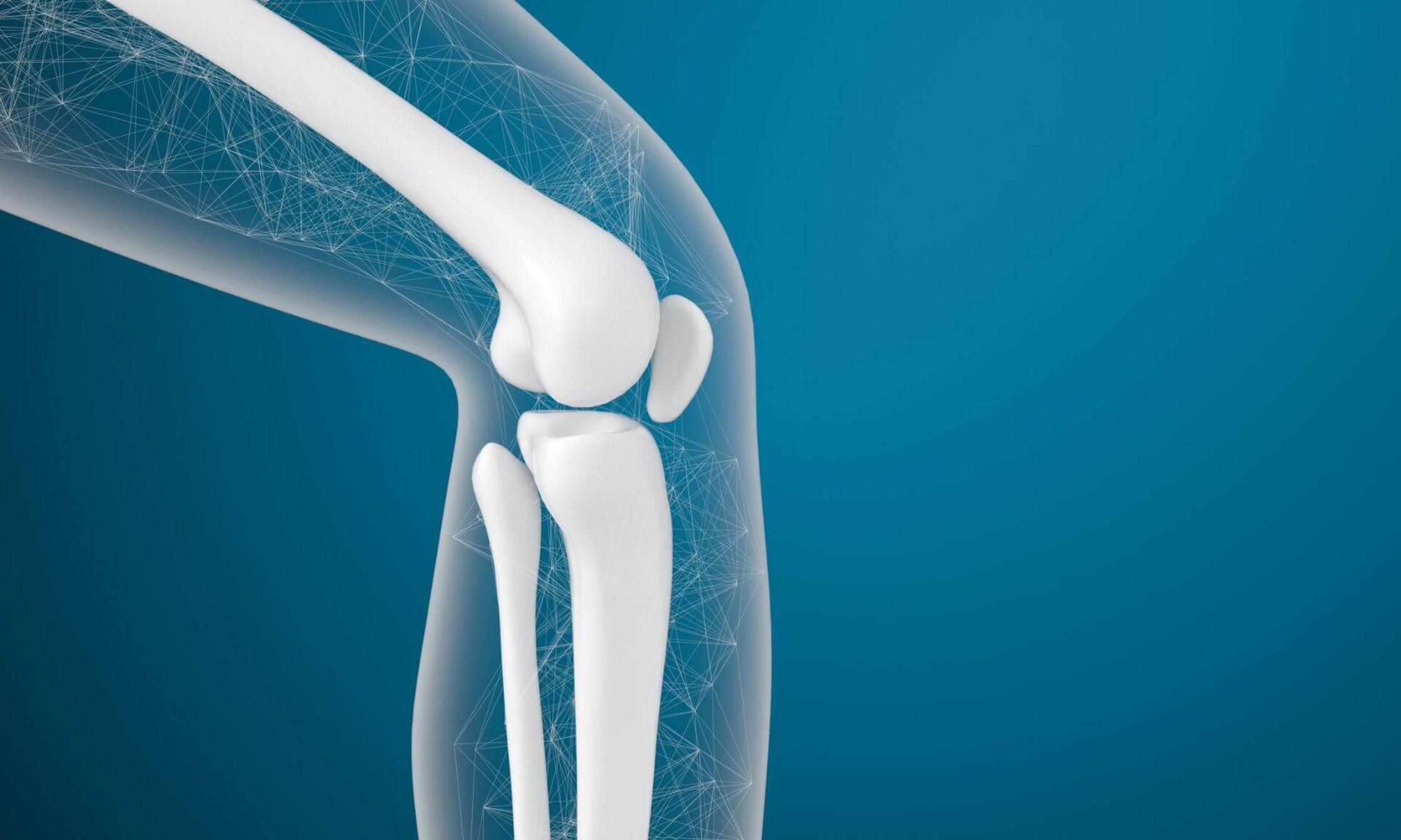 Ces travaux constituent une première étape déterminante vers une meilleure compréhension du rôle de la vitamine K dans la santé osseuse humaine.