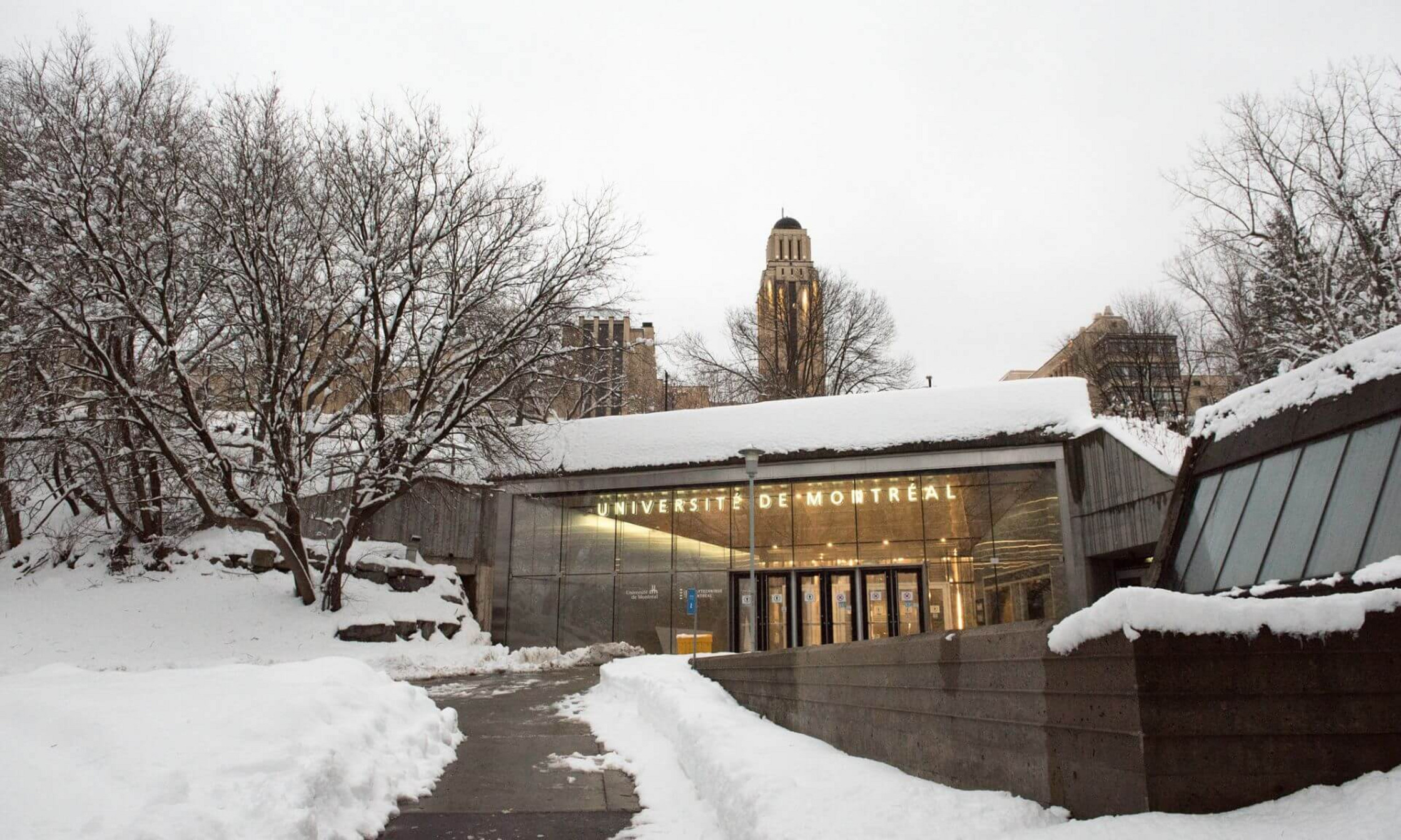 Le classement Clarivate reconnaît les scientifiques dont les travaux sont les plus influents sur la scène internationale.