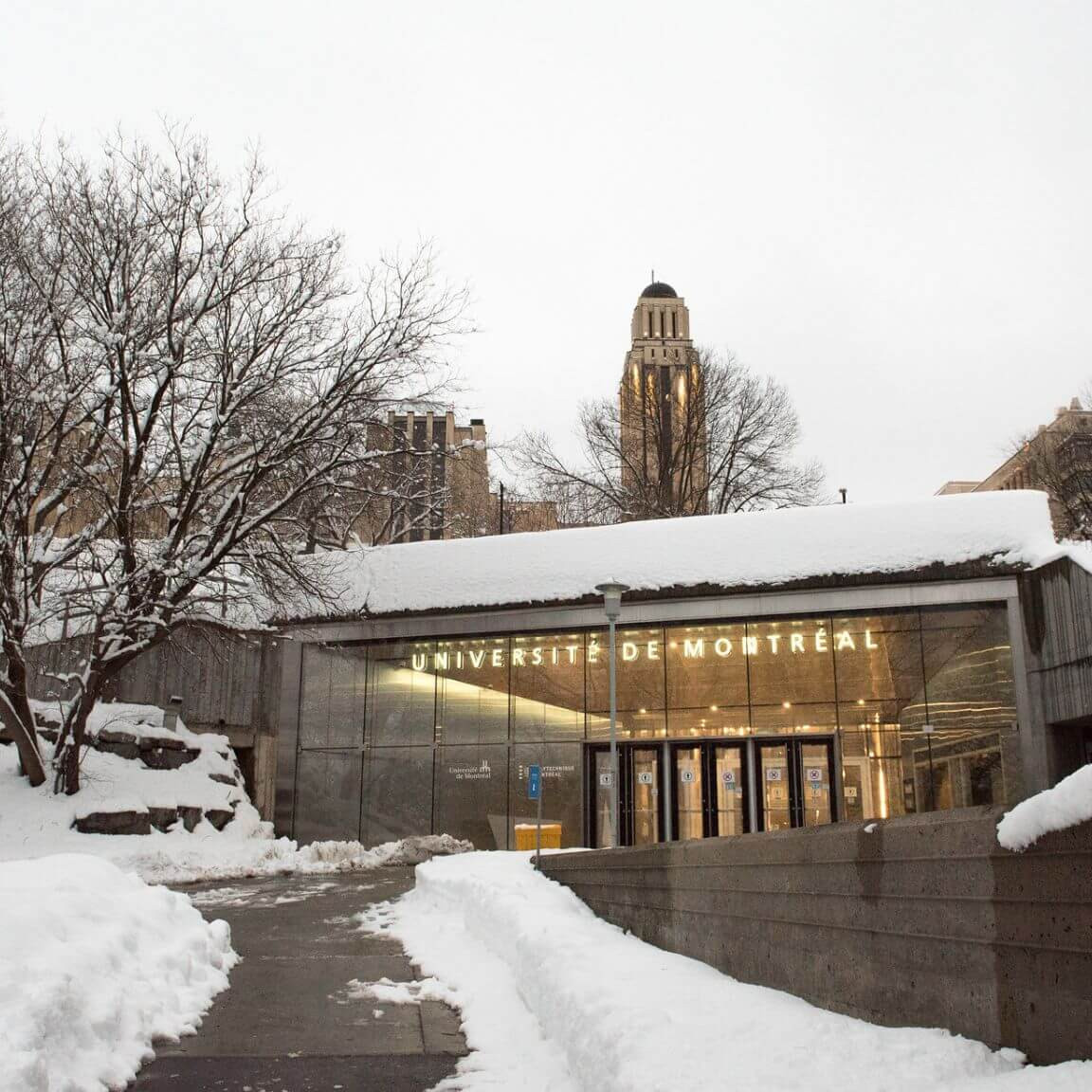 Le classement Clarivate reconnaît les scientifiques dont les travaux sont les plus influents sur la scène internationale.