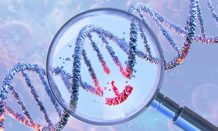 Leucémies aigües: des ciseaux moléculaires pour modifier les cellules à protéger