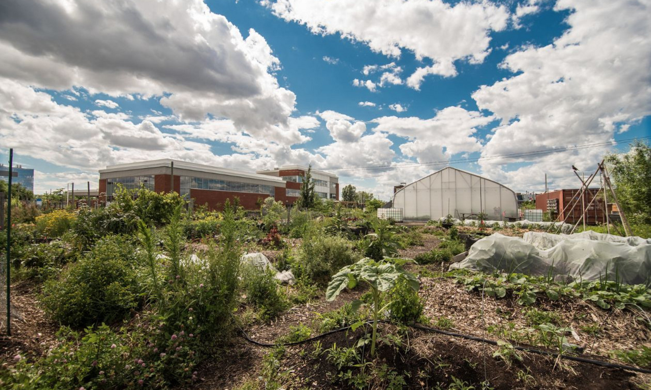 Les Projets éphémères se sont rapidement transformés en un lieu d’échanges et d'éducation.