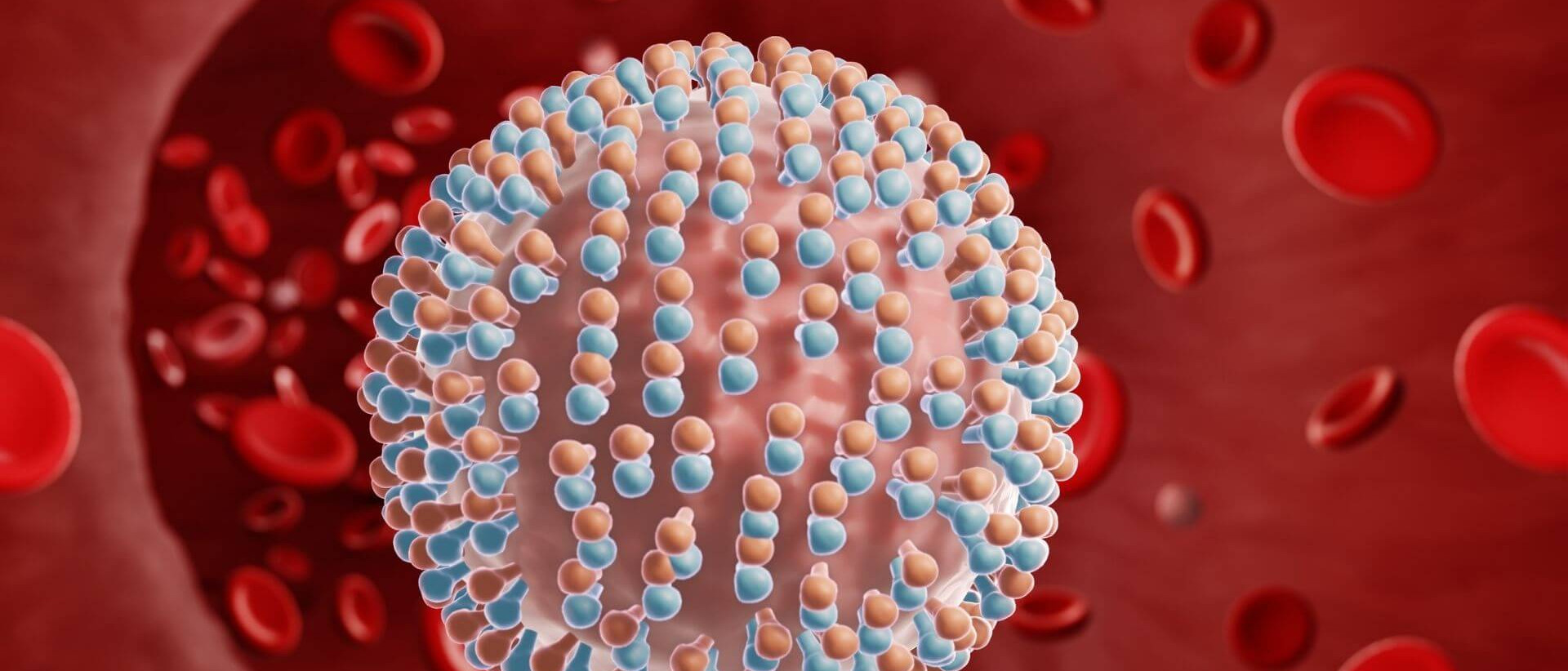 Le virus de l'hépatite C dans le sang