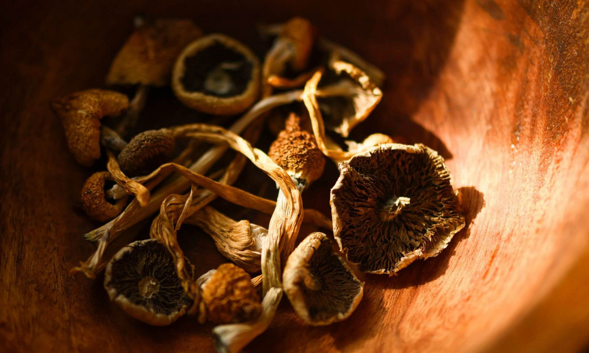 La psilocybine est la substance psychoactive présente dans certains champignons «magiques».