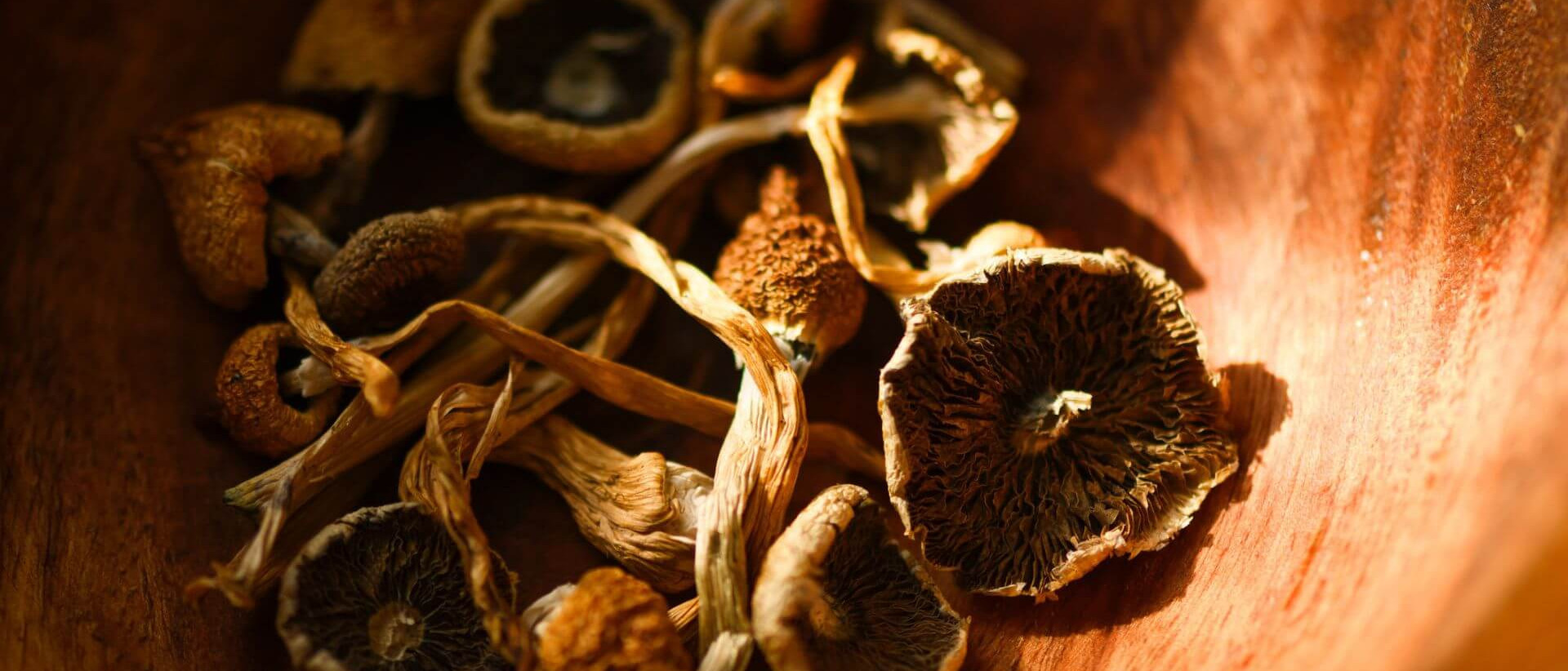 La psilocybine est la substance psychoactive présente dans certains champignons «magiques».