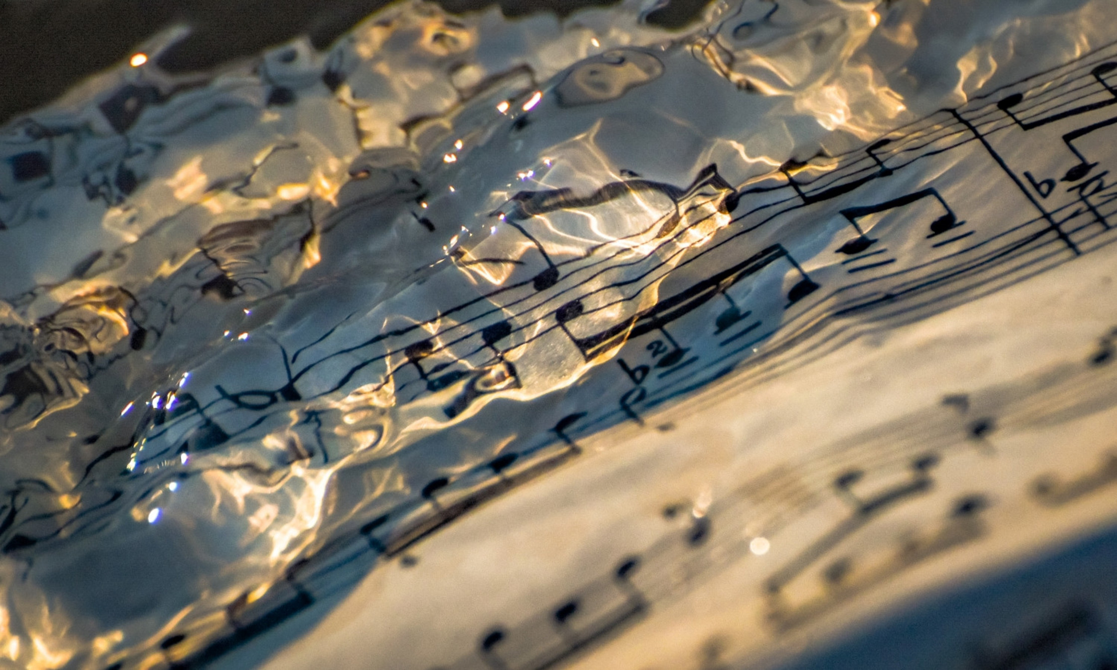 Derrière le projet de recherche-création «Symphonie arctique», il y a aussi un projet pédagogique.