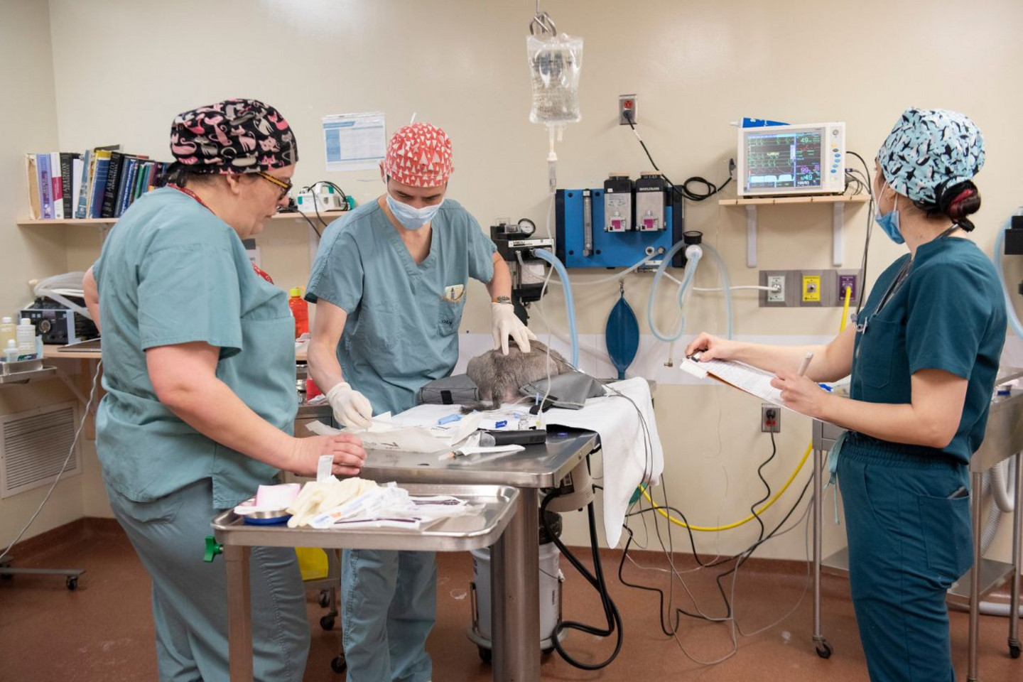 En salle préopératoire, la patiente est anesthésiée puis intubée. 