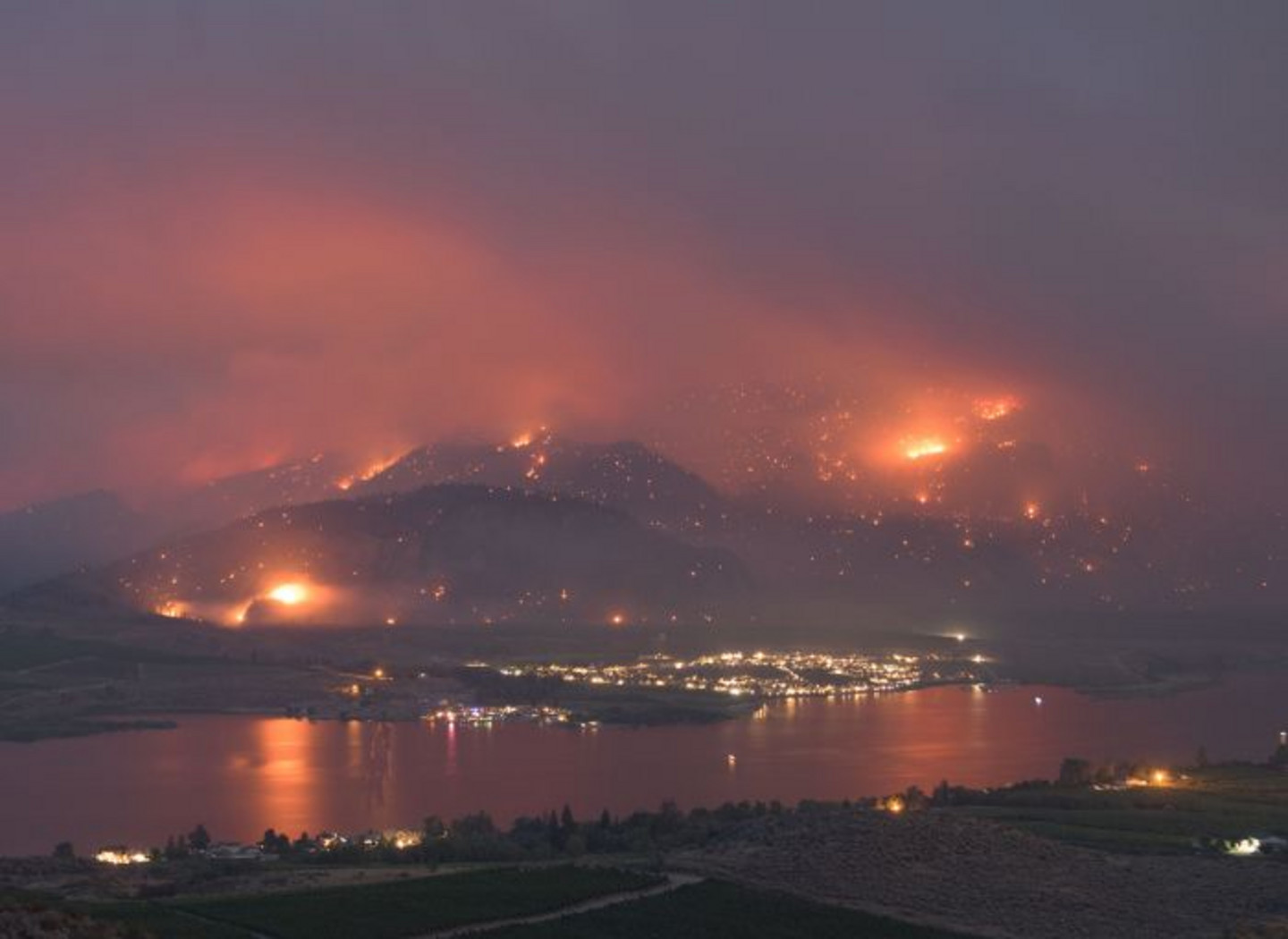 L'étude révèle que plus il y a de milieux humides dans l'environnement où a lieu un incendie de forêt, plus le lac absorbe de CO₂.