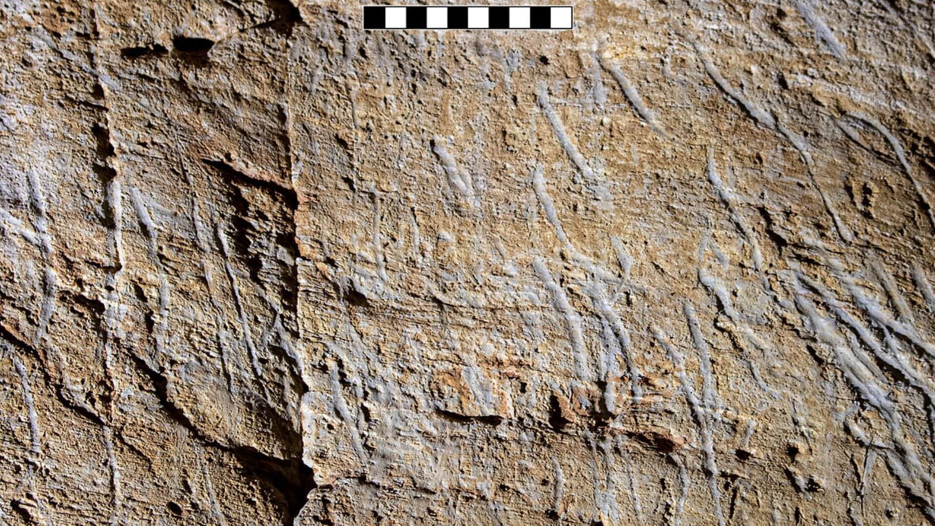 Scratch marks attributed to claws of Ursus spelaeus on the wall of the Bàsura Cave (Toirano, Liguria).