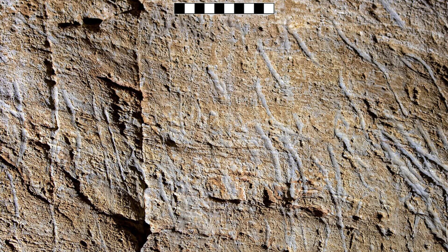 Marques de griffes attribuées à Ursus spelaeus sur la paroi de la grotte de Bàsura (Toirano, Ligurie).