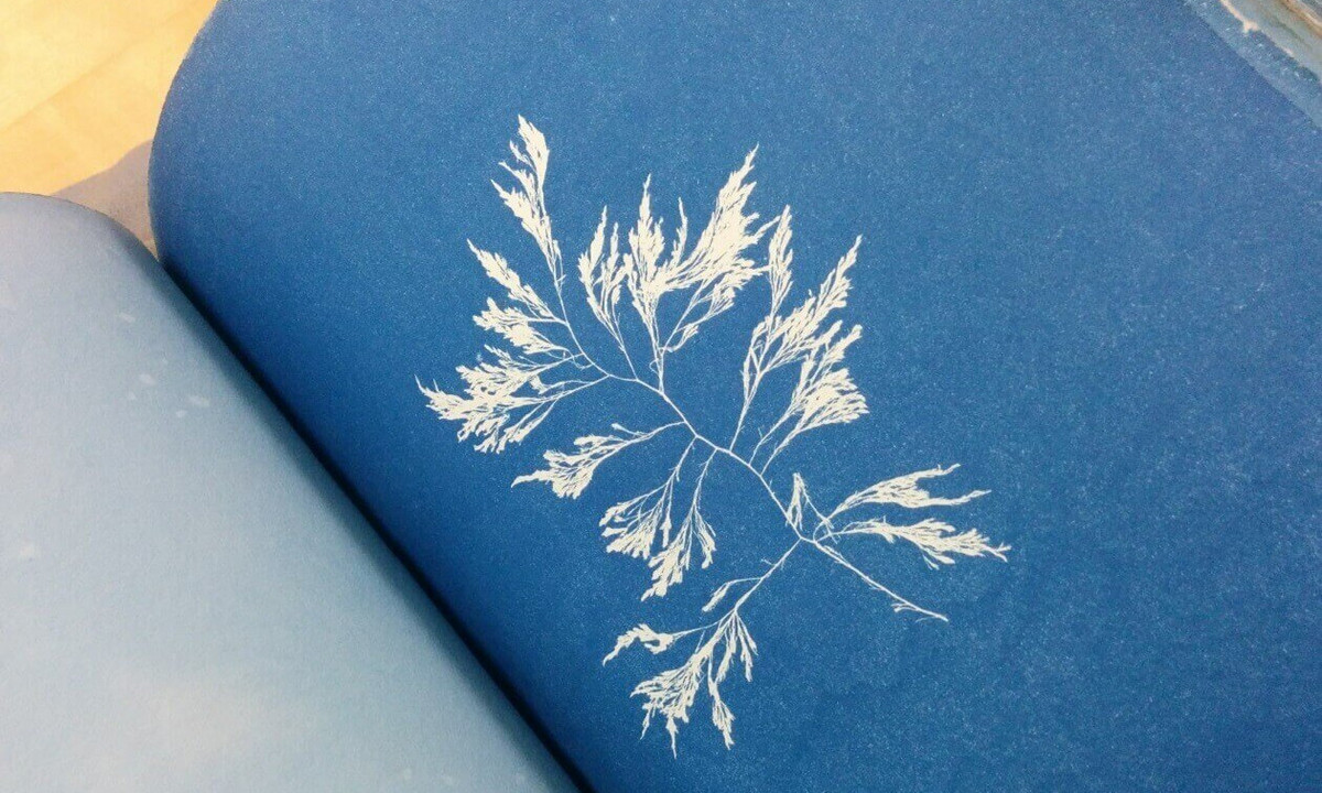 Livre rare