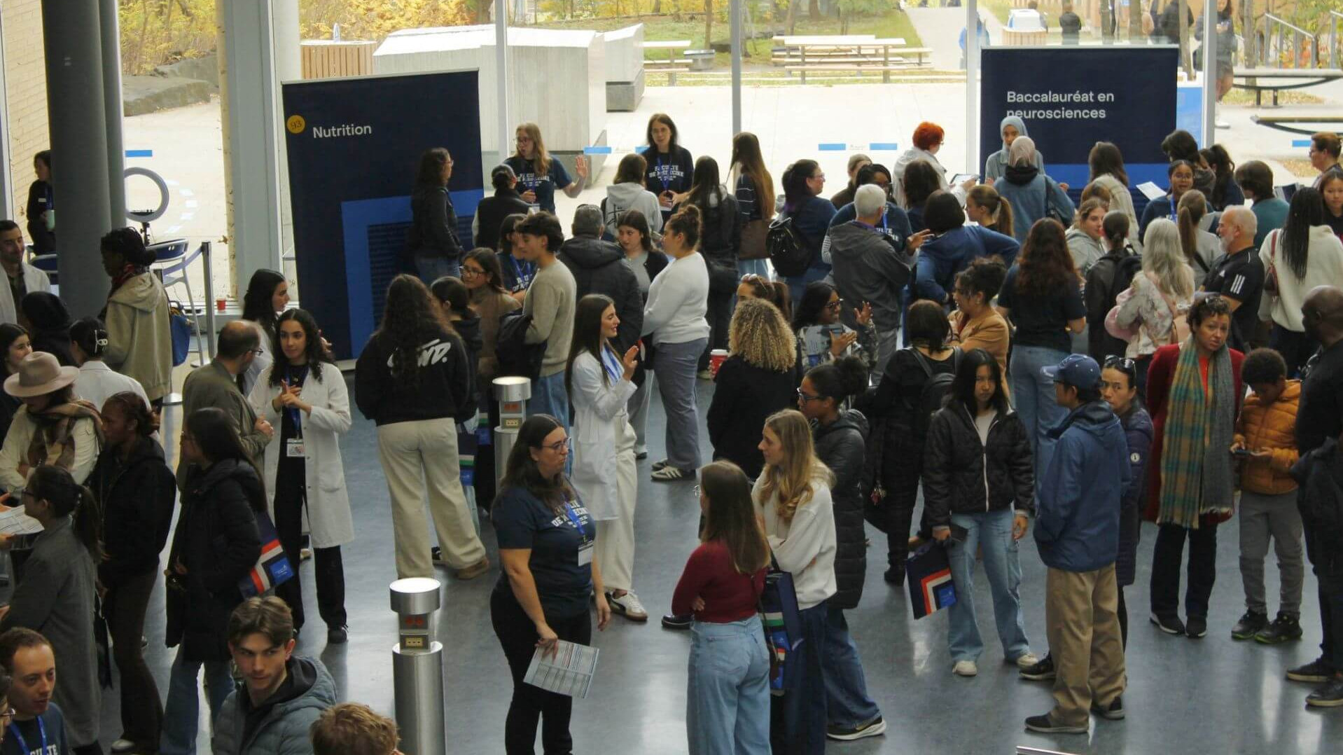 Les programmes d'étude en médecine.