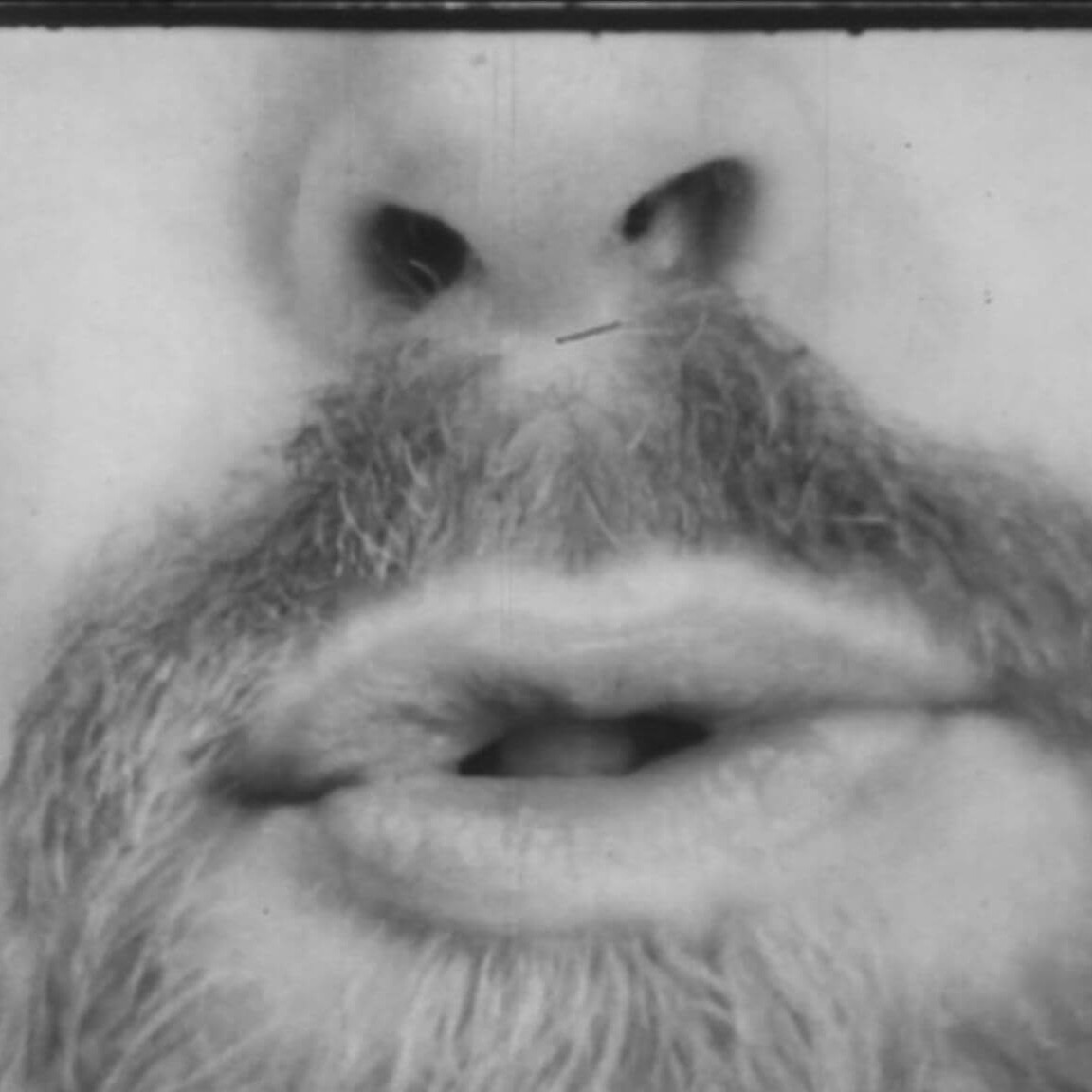 Habitudes articulatoires en français et en anglais