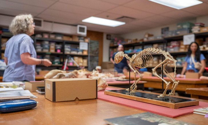 Claire St-Germain, laboratory coordinator for the Department of Anthropology, introduced young visitors to the collection at the Montreal Osteotheque.