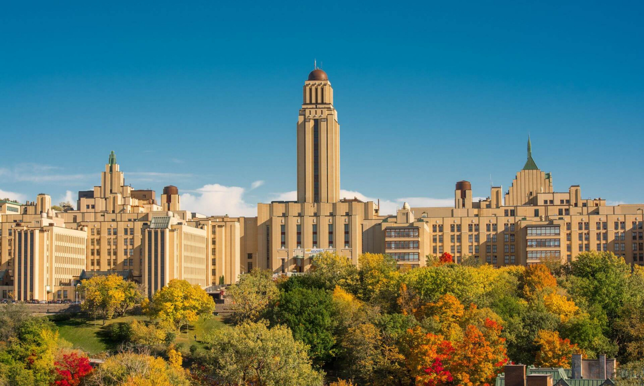 Ces chaires appuient des chercheuses et chercheurs dont les travaux se distinguent par leur excellence et leurs retombées potentielles sur la société.