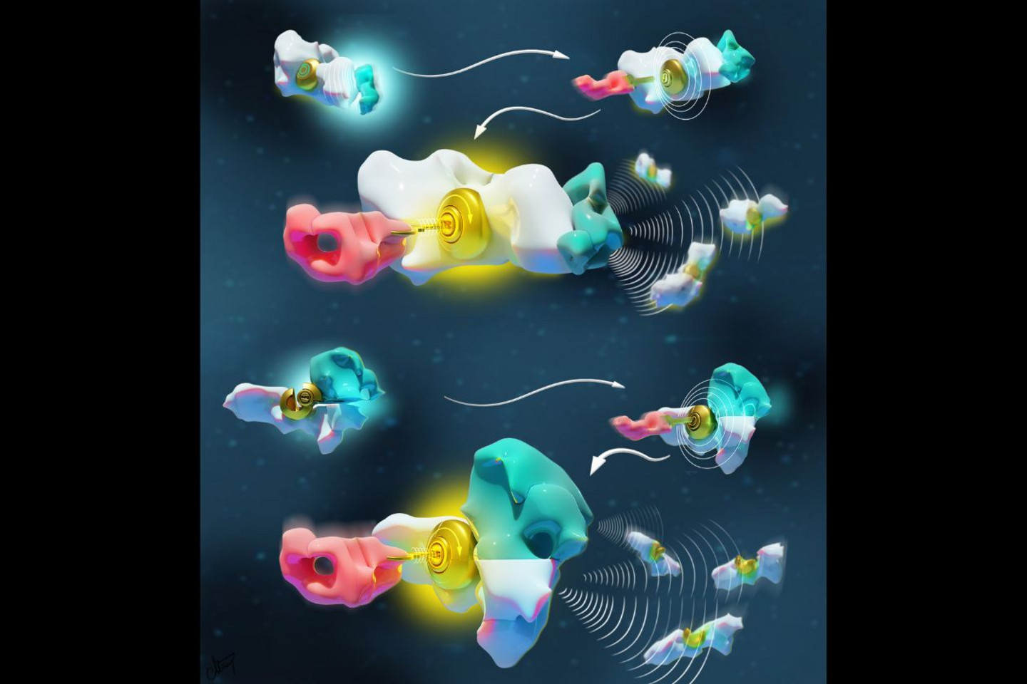 L'illustration représente deux langages chimiques à la base de la communication moléculaire. La molécule blanche, symbolisée par une serrure, est activée soit par allostérie (en haut), soit par multivalence (en bas). L'activateur allostérique (cyan) active la serrure par un changement de sa structure tandis que l'activateur multivalent fournit la pièce manquante de cette serrure. Ces deux activateurs permettent ainsi à une clé moléculaire (rose) d’actionner le mécanisme de communication de la serrure blanche.